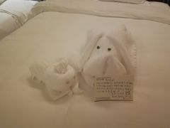 -三亚亚龙湾雅高铂尔曼别墅度假酒店