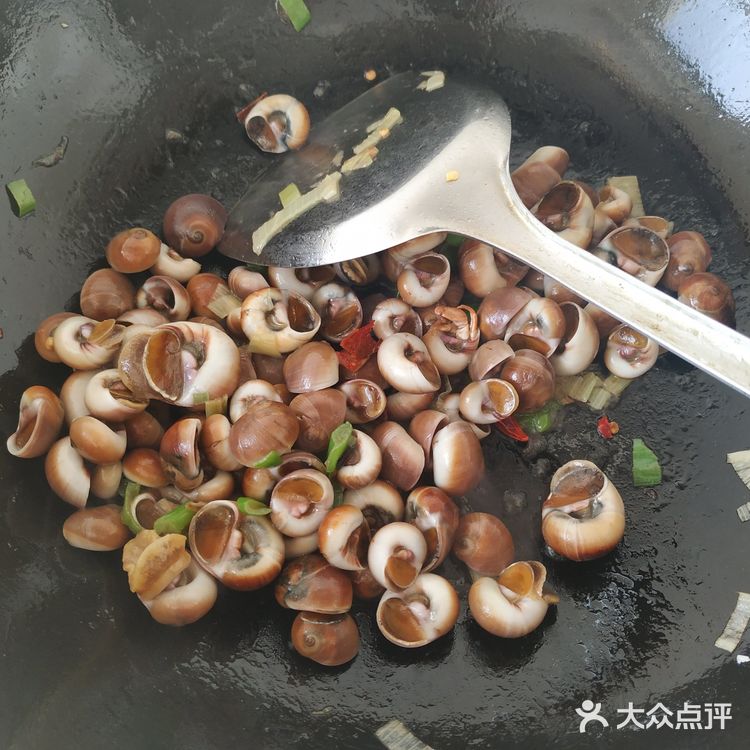 辣炒肚脐波螺,大连海鲜花样做