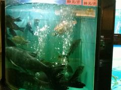 -莞香楼·正宗东莞菜(东升店)