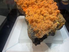 -湖南省地质博物馆