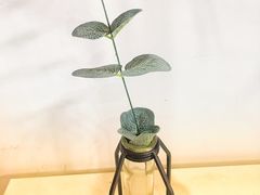 -参差咖啡(水果湖公园店)