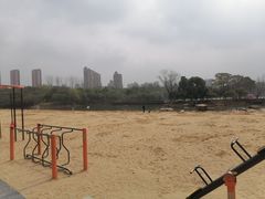 -青枫公园