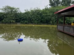 -老杨砂锅鱼庄