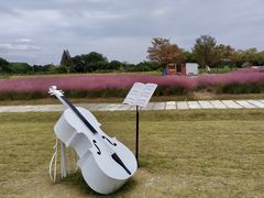 -鹅湖玫瑰文化园