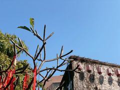 -小洲村