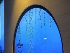 -上足·影院足道·SPA(红岭店)