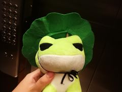 -杭州海外海皇冠大酒店