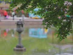 -嘉定紫藤园