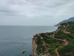 -杨梅坑