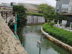 -深圳湾公园(南山区)