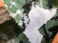 -耕渔小院·湖南鱼鲜(望城店)