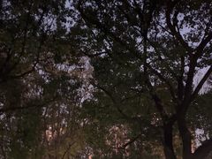 -苏州河梦清园环保主题公园