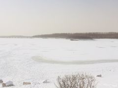 -丁香湖公园