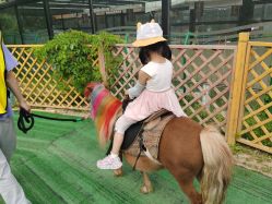 -萌宠亲子动物乐园(槐房万达店)