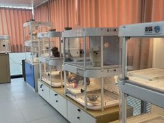 -翊宠yipet猫狗购宠庄园犬舍•猫舍