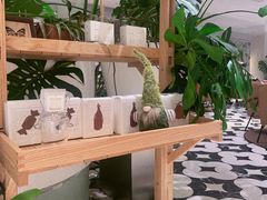 -一尺花园(安和花园店)