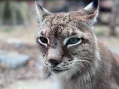 -杭州野生动物世界