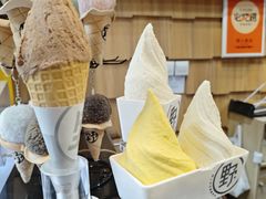 -野人先生现做冰淇淋(北京顺义祥云小镇店)