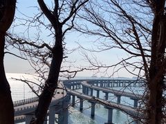 -星海湾跨海大桥