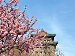 -北京明城墙遗址公园