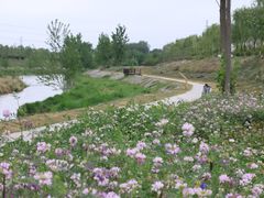 -洨河生态公园