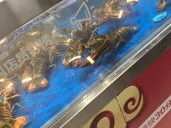 -盒马鲜生(财富中心店)