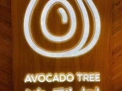 -油梨树AVOCADO TREE(嘉里中心店)