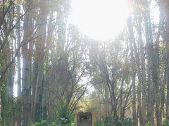 -艾提尕尔清真寺