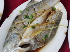 清蒸/红烧马友鱼-蛇口康乐快餐鱼仔档(翠苑小区店)