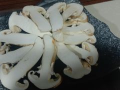 -蘑统田下·野生菌火锅