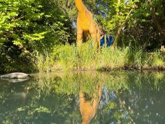 景点-上海欢乐谷