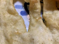 -迎宾楼饭庄(窦店)