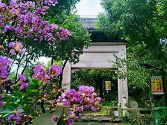 -雨花胜境