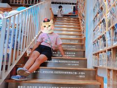 -猫的天空之城概念书店(苏州平江店)