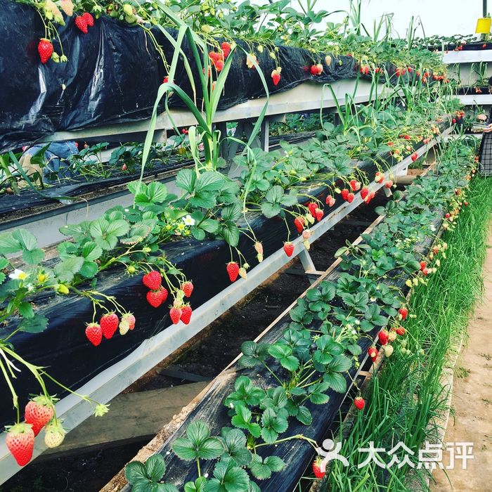 沐恩格林四季农场