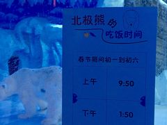 -芜湖新华联大白鲸海洋公园