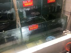 -干老四雅鱼饭店(滨江西路店)