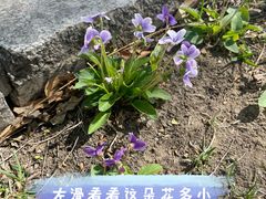 -中国农业博物馆