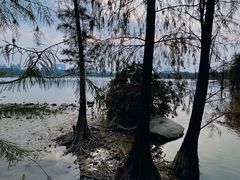 -海珠湖公园