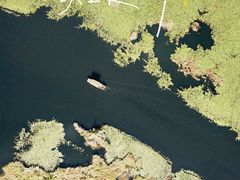 -腾冲北海湿地