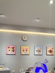 -洗脸猫·洗脸吧