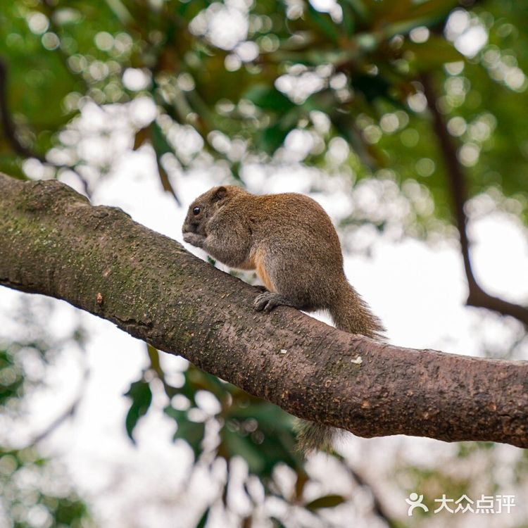 ㊙️涨知识‼️你知道吗？西湖自古也叫“金牛湖”