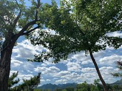 -碓臼峪自然风景区