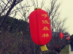 -呼吸森林·生态农庄农家乐私房菜