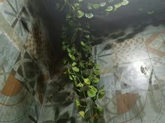 -湘当爱·鲜煮现炒(松岗立业路店)
