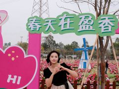 -盈香心动乐园