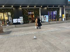 -乐天免税店(明洞店)