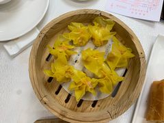 宾馆菊花卖-番禺宾馆丽苑厅