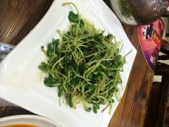 豆苗-东北大菜馆(延长路店)