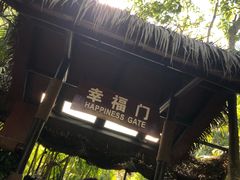 -呀诺达热带雨林
